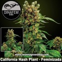 California Hash Plant 