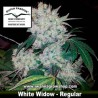 WHITE WIDOW (REGULAR) 