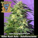 Killer Kush Auto