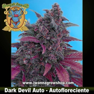 Dark Devil Auto