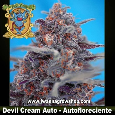 Devil Cream Autofloreciente