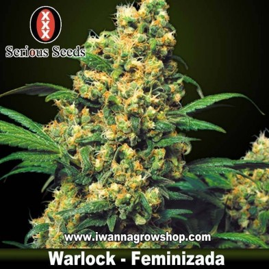 Warlock 