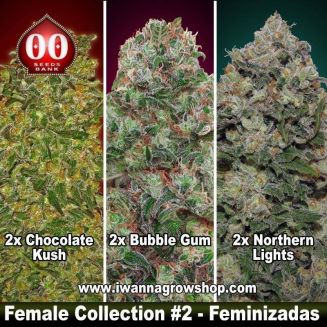 Female Collection 2