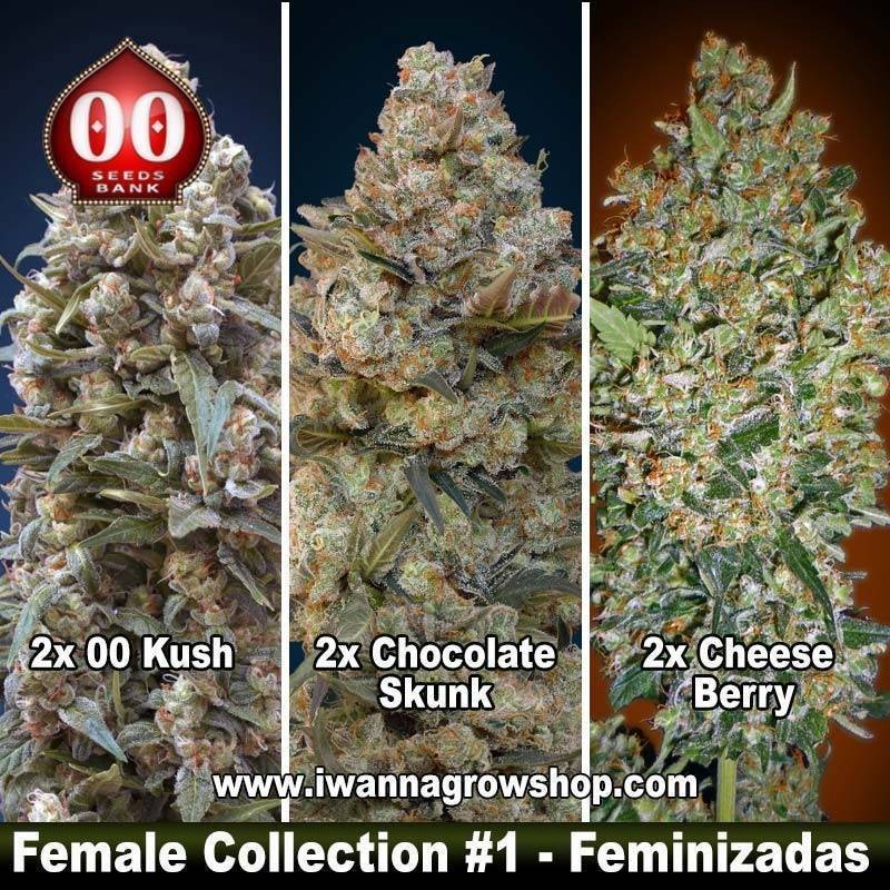 Female Collection 1