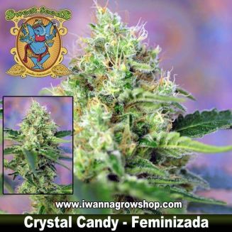 Crystal Candy 