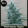 Orient Express –  Regular