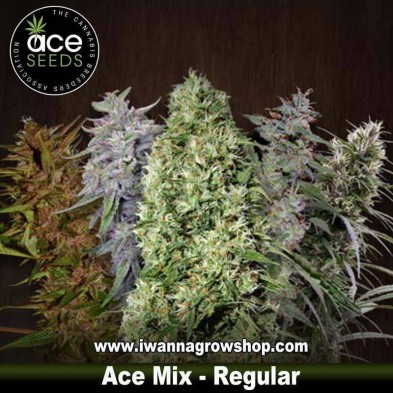 Ace Mix Regulares 