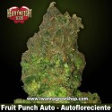 Fruit Punch Auto 