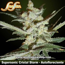 Supersonic Cristal Storm