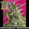 Crystal Candy Auto 