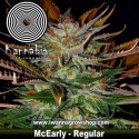 McEarly – Regular 