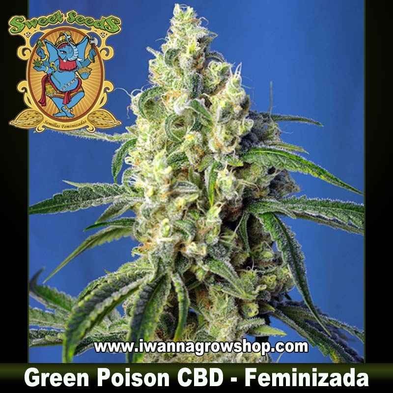 Green Poison CBD 