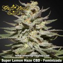 Super Lemon Haze CBD 