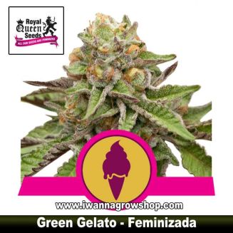 Green Gelato