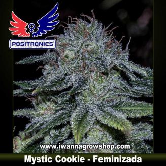Mystic Cookie  