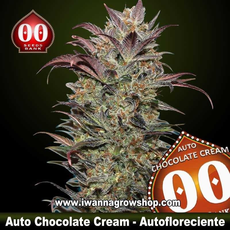 Auto Chocolate Cream 