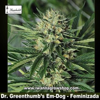 Dr Greenthumbs’s Em-Dog by B-Real 