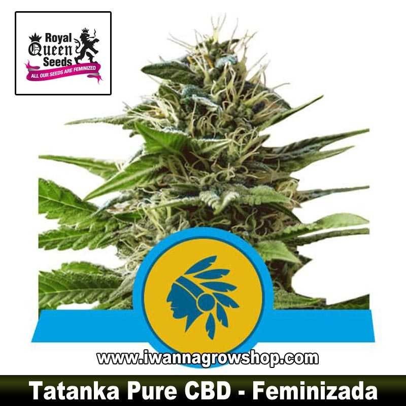 Tatanka Pure CBD