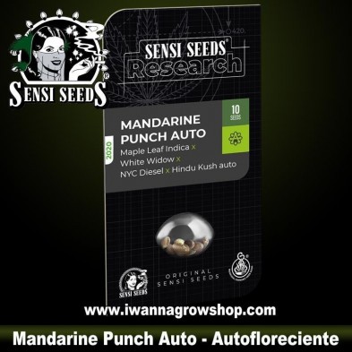 Mandarine Punch Auto