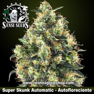 Super Skunk Automatic 