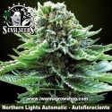 Northern Lights Automatic 