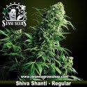 Shiva Shanti Regular 