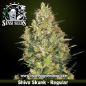 Shiva Skunk regular 