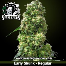 Early Skunk – Regular