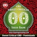 Sweet Critical CBD