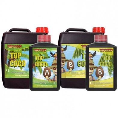 Top Coco A+B