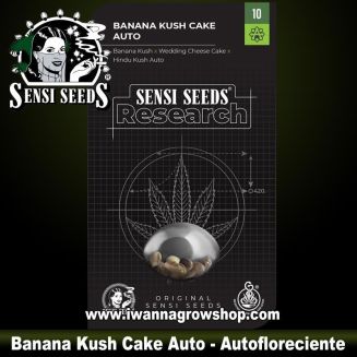 Banana Kush Cake Auto