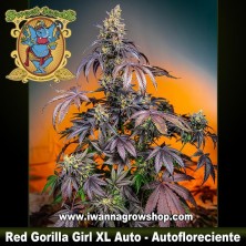 Red Gorilla Girl XL Auto