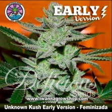 Unknown Kush Early Version