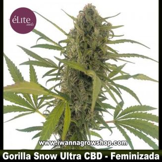 Gorilla Snow Ultra CBD