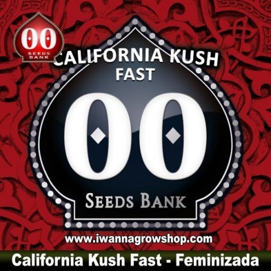 California Kush Fast