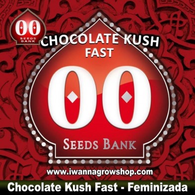 Chocolate Kush Fast