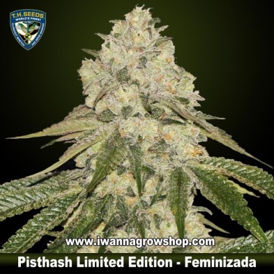 Pisthash Limited Edition