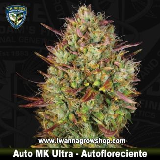 Auto MK Ultra