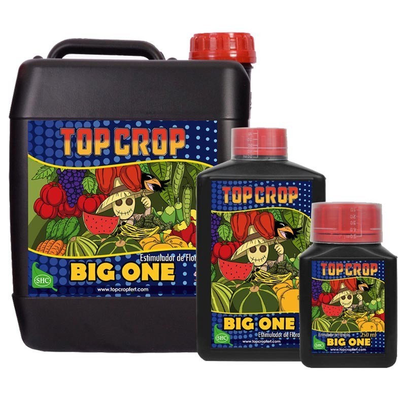 Big One – Estimulador Floración 