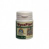 Mycoplant (Micorrizas) (20gr)