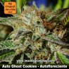 Auto Ghost Cookies
