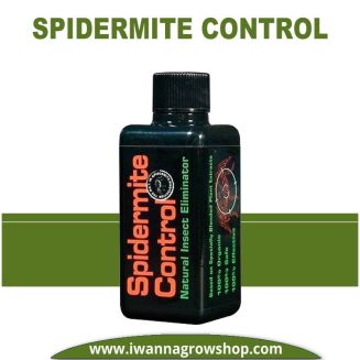 Spidermite Control