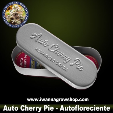 Auto Cherry Pie