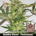 Buddha Diesel