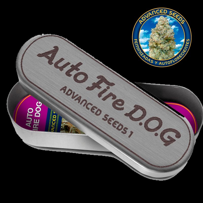 Auto Fire DOG