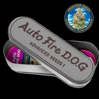Auto Fire DOG