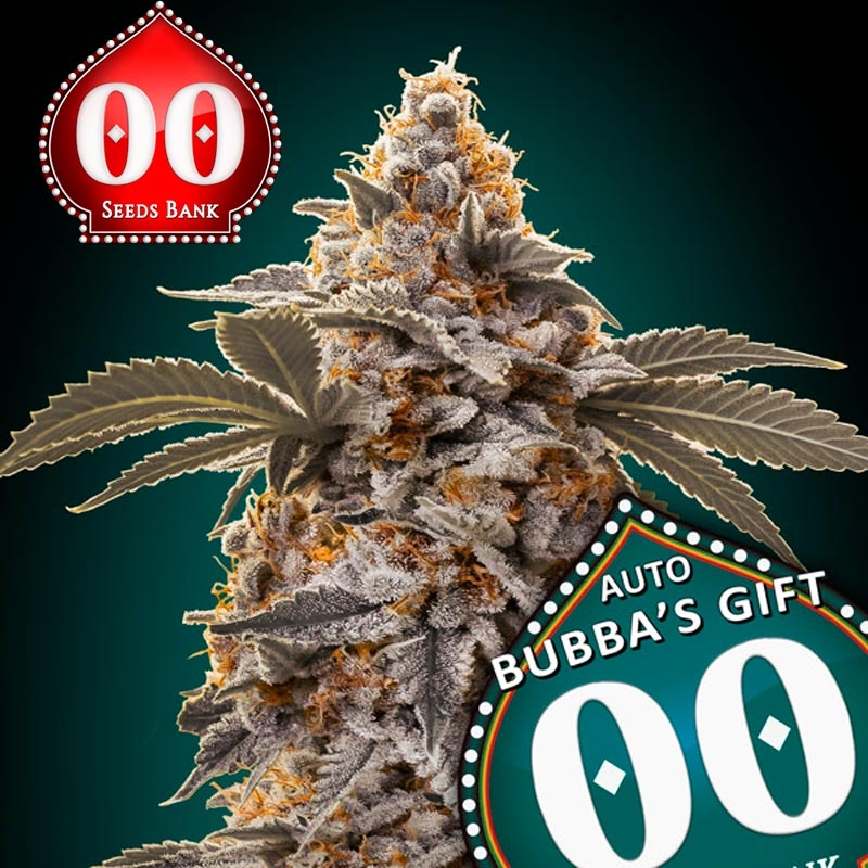 Auto Bubba´s Gift