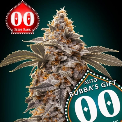 Auto Bubba´s Gift