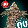 Auto Bubba´s Gift