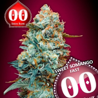 Sweet Somango Fast